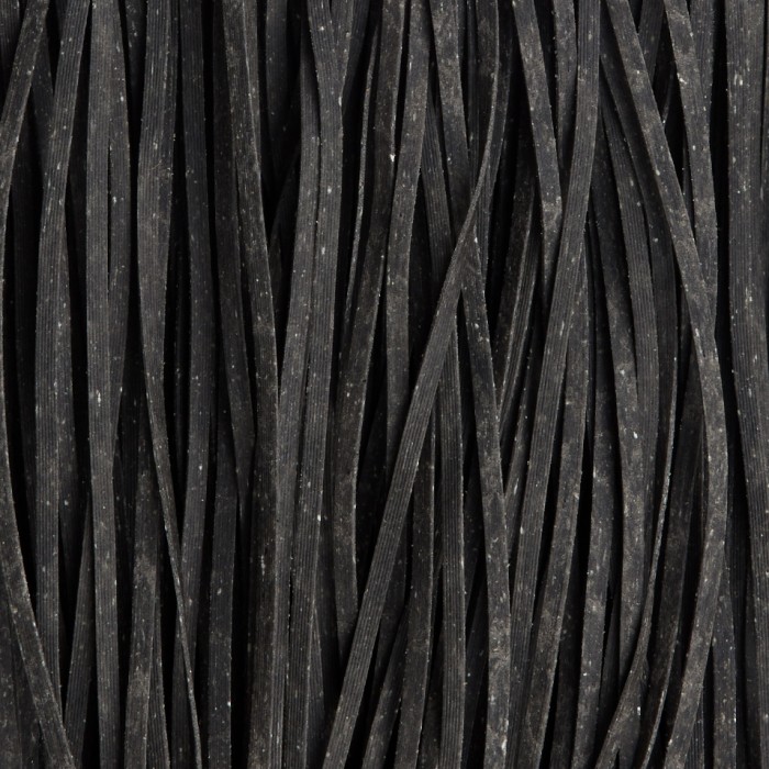 LINGUINE AL NERO DI SEPPIA - LA CAMPOFILONE