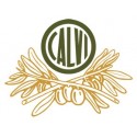 GIUSEPPE CALVI & C. SRL