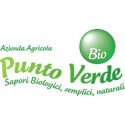 PUNTO VERDE